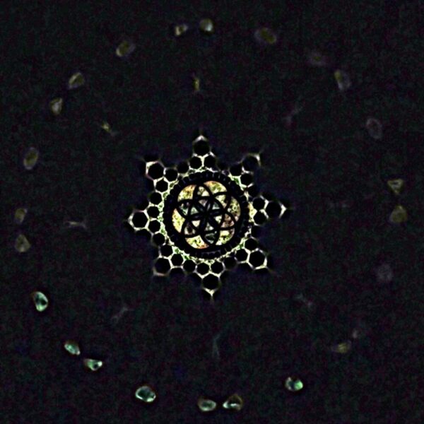 461743169_8353938754692051_7792790333250661434_n