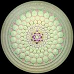 Ochranná růže FlowDisc ViaHuman White Marble