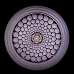 FlowDisc ViaHuman Cosmic Lavender