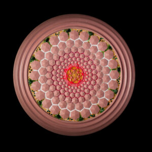 FlowDisc Old Pink - Free Heart