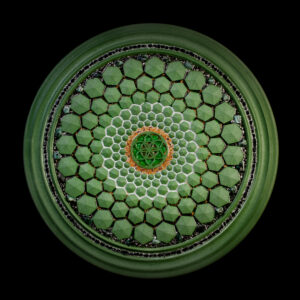 FlowDisc Natural Green - Druidum