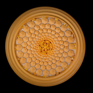 FlowDisc Honey - Helios