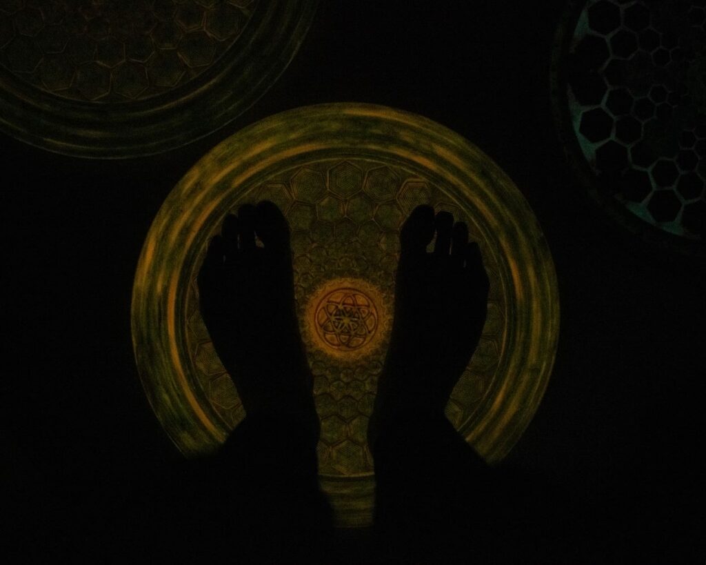 FlowDiscová cesta ViaHuman