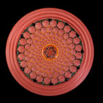 FlowDisc ViaHuman Gaia Teracotta