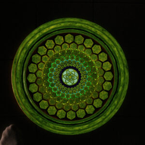 FlowDisc CCB s úpravou ViaHuman